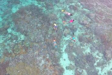 هتل Murex Bangka Dive Resort