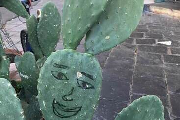 پانسیون Casa Verdi   House Of Travelers