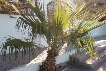 بنسيون Beach Club Junior Suite