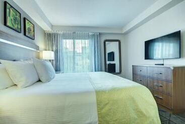 هتل Desert Rose Resort