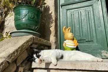 펜션 Le Clos St Georges