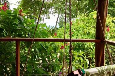تختخواب و صبحانه The Hummingbird