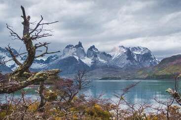فندق Estancia El Ovejero Patagónico