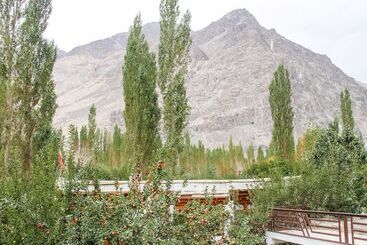 فندق Sha Cho Guest House
