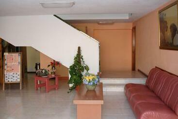 Los Ficus