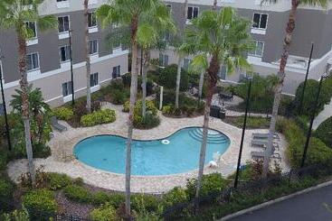 فندق Holiday Inn Express And Suites Tampa I 75 At Bruce B. Downs, An Ihg