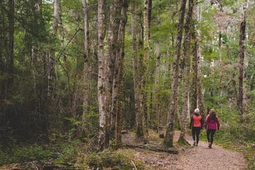 هاستل Lone Moose Backpackers
