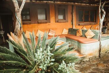 Общежитие Amphitheatre Backpackers Lodge