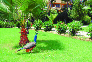 Green Peace Hotel