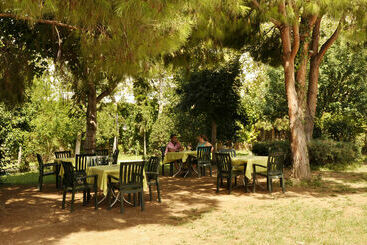 Green Peace Hotel