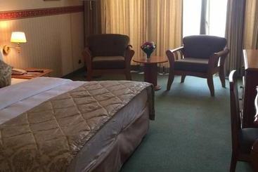 هتل Ledger Plaza N'Djamena
