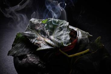 Hotel The Ritzcarlton, Tokyo