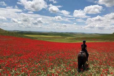 هتل روستایی Ibersol La Casona de Andrea