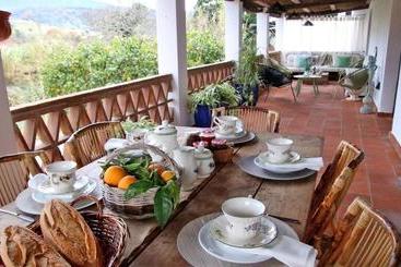 تختخواب و صبحانه Casa Del Rio Boho Chic Retreat