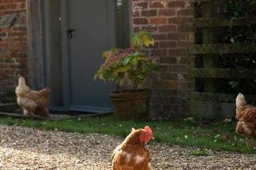تختخواب و صبحانه Street Farmhouse