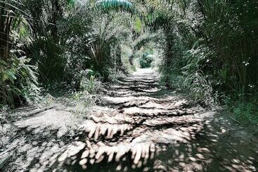 ホテル Afro Beach Eco Resort Butre