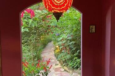 פנסיון Vila Esperança