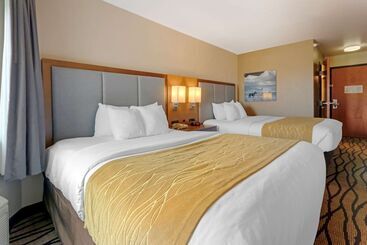בית מלון כפרי Comfort Inn & Suites Market   Airport