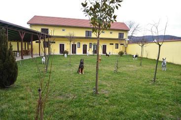 هاستل Casa Simescu Ii