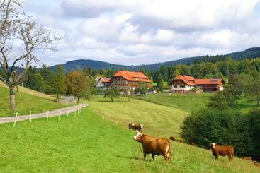 هاستل Zum Breitenberg