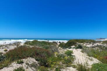 Aparthotel Novo Sancti Petri