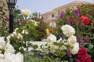 Regina's Exclusive Villas