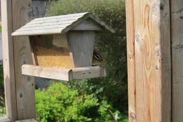 هاستل Auld Farm Inn B&b