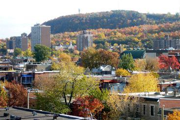 Hotel Plateau Royale