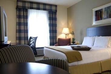 Holiday Inn Express Hotel & Suites   Atlanta/emory University Area, An Ihg