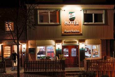 酒店 Boutique Quedlinburg Auerhahn