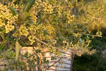 هتل Agroturismo Malbuger Nou Menorca Adults Only