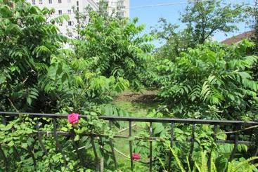 هاستل Jesis Batumi
