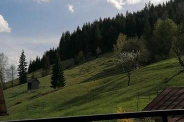 Pensiunea Casa Fierarul Din Bucovina