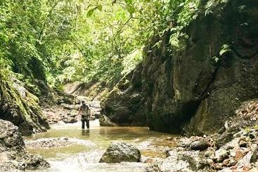 پانسیون El Manantial De Corcovado