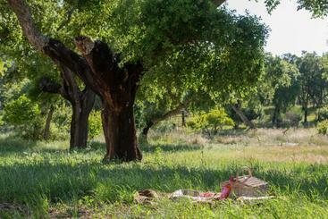 پانسیون Herdade Do Vale Da Abelheira By Mystay