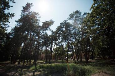 Forrest Park&resort