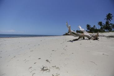 هتل The Beach Crab Resort