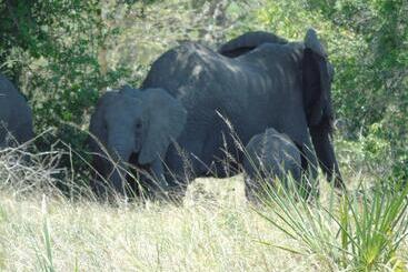 ペンション Idc Guest House