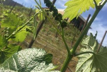 فندق Cabañas Rancho Palos Verdes