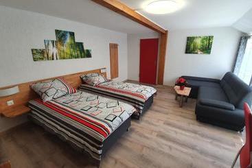 호스텔 Gasthof Schwanen Radelfingen