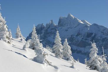 هتل Des Alpes