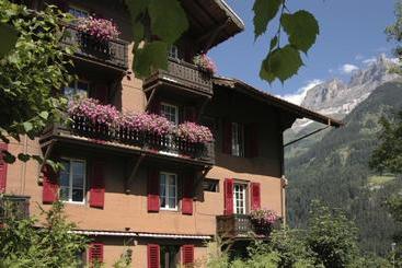 هتل Des Alpes