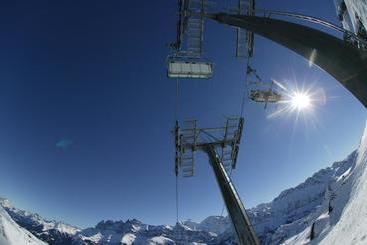 هتل Des Alpes