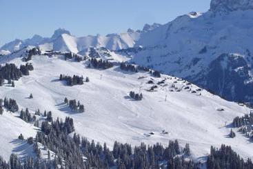 هتل Des Alpes