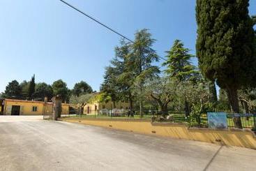 تختخواب و صبحانه Bed&breakfast Il Frantoio