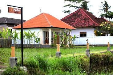 膳宿费 Padi Guest House