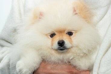 هتل Ghl Collection 93