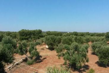 هتل روستایی Agriturismo Masseria Bellolio