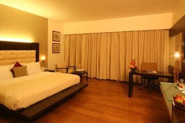 هتل Krishna Palace