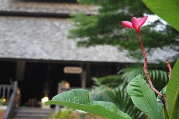 Hotel Rainforest Chiangmai